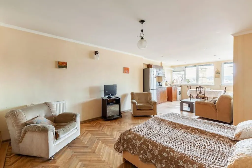 House On Rustaveli St Διαμέρισμα Τυφλίδα